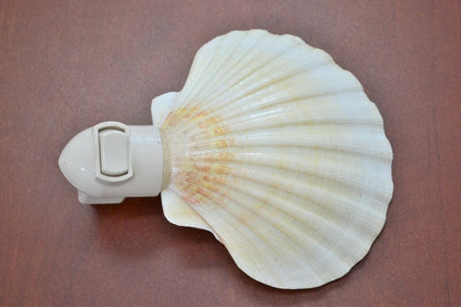 DEEP SCALLOP Sea Shell NIGHTLIGHT